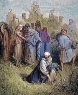 Ruth in Boaz's Field, Boaz is a biblical figure who appears in the Book of Ruth in the Hebrew