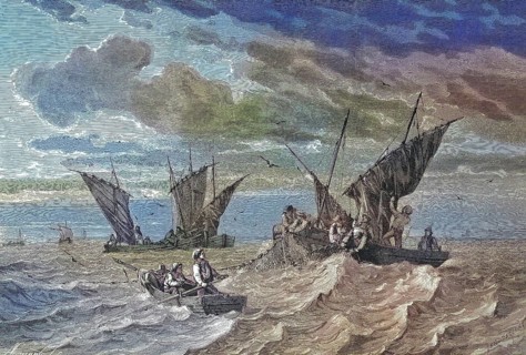 Fishermen at sardine catch near the coast of Brittany, France/Fishermen at sardine catch near the