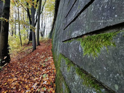A path in autumn forest along a mossy wall, fortress surrounded by colorful foliage, Franconian