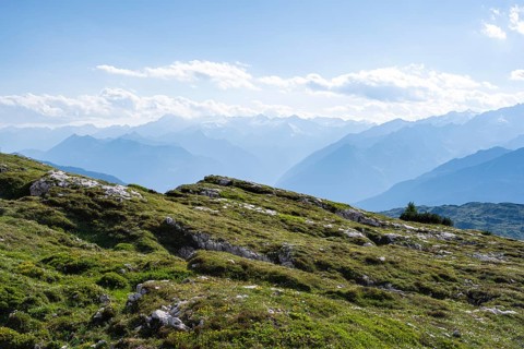 View of the Adamello Group from the Grosté Plateau, Brenta-Adamello Natural Park, Trentino, Italy