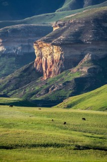 Grassland with sandstone cliffs and cliffs, landscape in Golden Gate Highlands National Park, Free