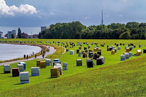 Lots of beach chairs on a green field next to a path with a view of a city in the background, beach