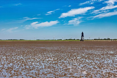A lighthouse in the Wadden Sea with wind turbines on the horizon under a blue sky, Die Kugelbake