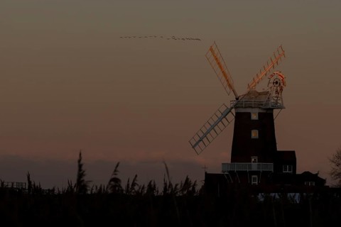 Geese in a flock or skein flying above a windmill in winter, Cley-next-to-the sea, Norfolk,
