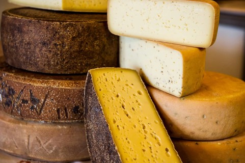 Cheese, hard cheese, organic cheese, Black Forest, Baden-Württemberg, Germany