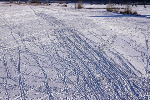Traces in snow, winter, Germany