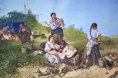 Historical illustration of a fortune teller, fortune teller, fortune telling, the practice of