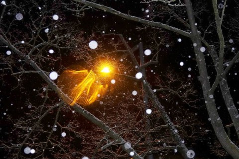 Street light and trees at night, snowflakes, winter, Germany