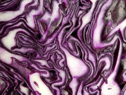 Vibrant pattern of bluegrass layers (Brassica oleracea) in purple and white