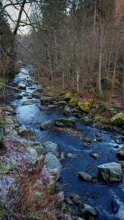 Small river in the forest with rocks and moss-covered trees along the shore, Frankenwald nature
