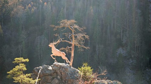 New stag in the Höllental valley, stag sculpture on a rock with pine (pinus), surrounded by forest