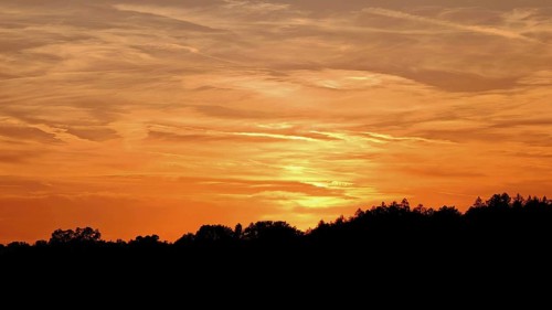 Orange sunset with silhouettes of trees and soft sky, Frankenwald nature park Park