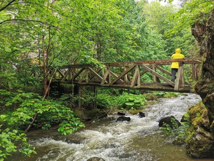 Person wearing a yellow raincoat on a wooden bridge over a river in a green forest, Frankenwald