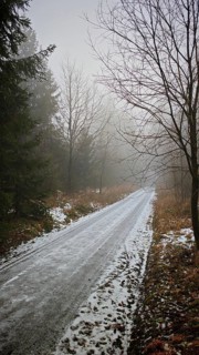 Snowy, icy trail through a foggy, quiet winter forest, Franconian Forest nature park Park