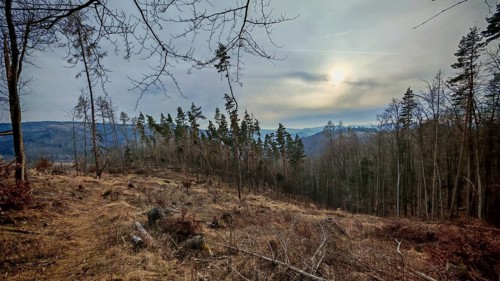 View of a sparse wooded hill with the sun shining through clouds, Thuringian Forest nature park