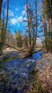 A clear stream flows through a forest under a blue sky, Frankenwald nature park Park