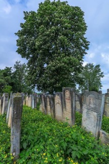 Jewish cemetery, since 1866, Czernowicz, Bukovina, Ukraine