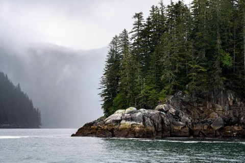 Rocky coast with coniferous forest, coastal landscape, mystical cloud-covered mountains, Kenai