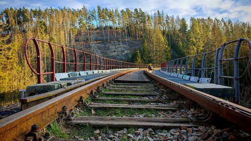 A person sits on long railroad tracks on a railroad bridge that runs in thick forest,