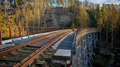 A person sits on the tracks of an old metal railroad bridge that leads through a forest,