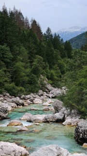 River flows over stones through a forest with mountains in the background, Soca Valley, Slovenia