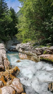 Rustling river between rocks and lush green forest in a mountainous landscape, Soca Valley,