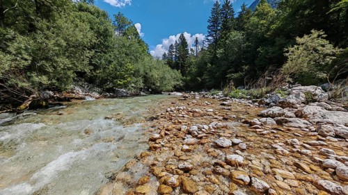 A shallow, clear river with rocks flows through a wooded area, Soca Valley, Slovenia
