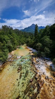 A clear river flows through a forest with Triglav mountains in the background under a blue sky,