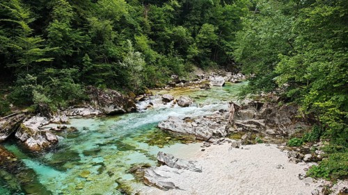Clear river with rocks and green forest in the background, calming natural landscape, Soca valley,