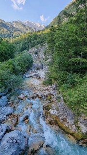 Stream flows through a wooded gorge with rocks, Soca Valley, Slovenia