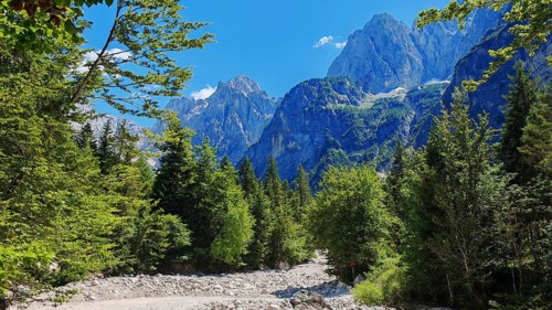 Mountain scene with riverbed and dense forest under clear sky, Slovenia