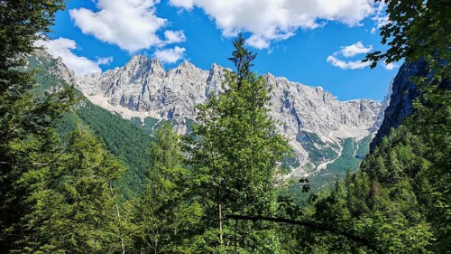 View of a mountain range with forest in the foreground under blue sky, Slovenia