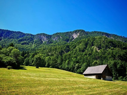 Meadow with a hut in front of a wooded mountain, Slovenia
