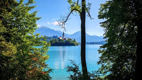 View of an island in Lake Bled with church and mountain panorama, Slovenia