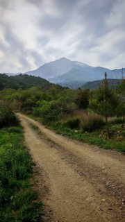 An unpaved trail snakes through a wooded landscape with mountains towards Tahtali Dagi, Lycia,