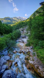 Stream through green forest with mountains in the background, Soca Valley, Slovenia