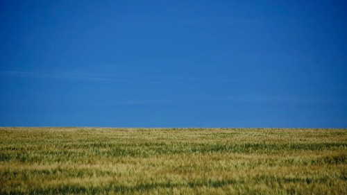 Extensive green field under a clear, calm blue summer sky, Rennsteig, Thuringian Forest nature park