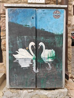 A painting of two swans (cygnus) in the water, natural scenery, Skopje, North Macedonia