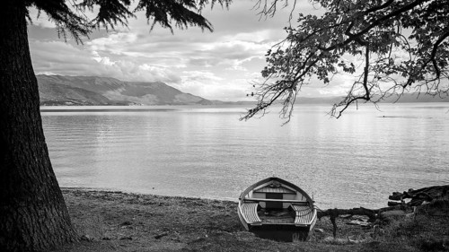 A boat on the shore of a calm lake surrounded by trees in black and white, Lake Ohrid, North