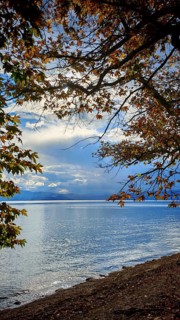 Waterfront view of a calm lake with autumn leaves and dramatic sky, Lake Ohrid, North Macedonia