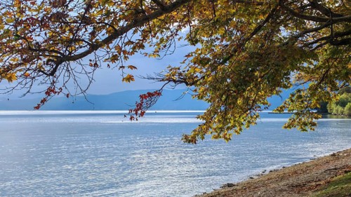 Autumn scene at a lake with overhanging trees and calm water surface, Lake Ohrid, North Macedonia