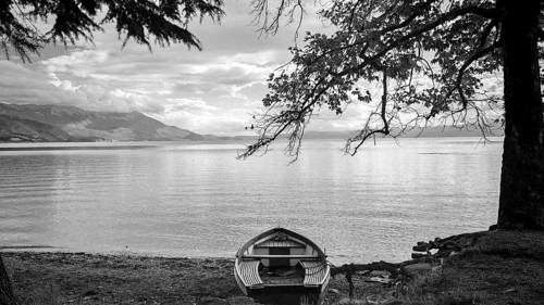Black and white view of a boat on the shore of a quiet lake under trees, Lake Ohrid, North