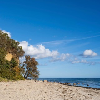 Cliff and beach near Lobbe, Mönchgut peninsula, Rügen, island, Baltic Sea, Mecklenburg-Western