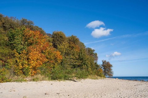 Beach and cliffs, autumn, Lobbe, Mönchgut, Rügen, island, Baltic Sea, Mecklenburg-Western