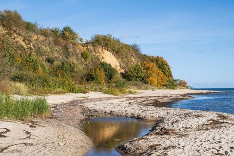Beach and cliff with reflection, autumn, Lobbe, Mönchgut, Rügen, island, Baltic Sea,