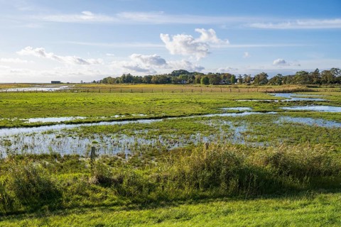 Field near Middelhagen with large puddles, Lobbe, Mönchgut peninsula, Rügen, island, Baltic Sea,
