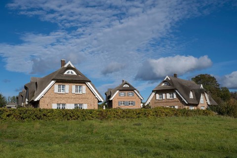 Several new thatched houses next to each other, Lobbe, Mönchgut peninsula, Rügen, island, Baltic