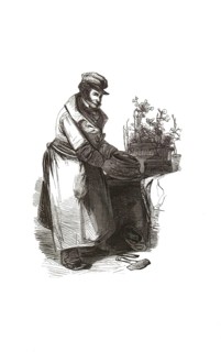 Types from Holland around 1841, Haringkoper, in German herring dealer or herring buyer,