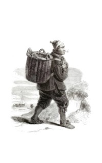Types from Holland around 1841, De Scheveningse visser, The Scheveninger Fisherman, Netherlands,