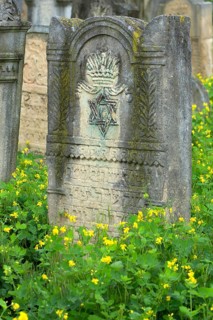 Tombstone with reliefs of crown and star of David, Jewish cemetery, since 1866, Czernowicz,